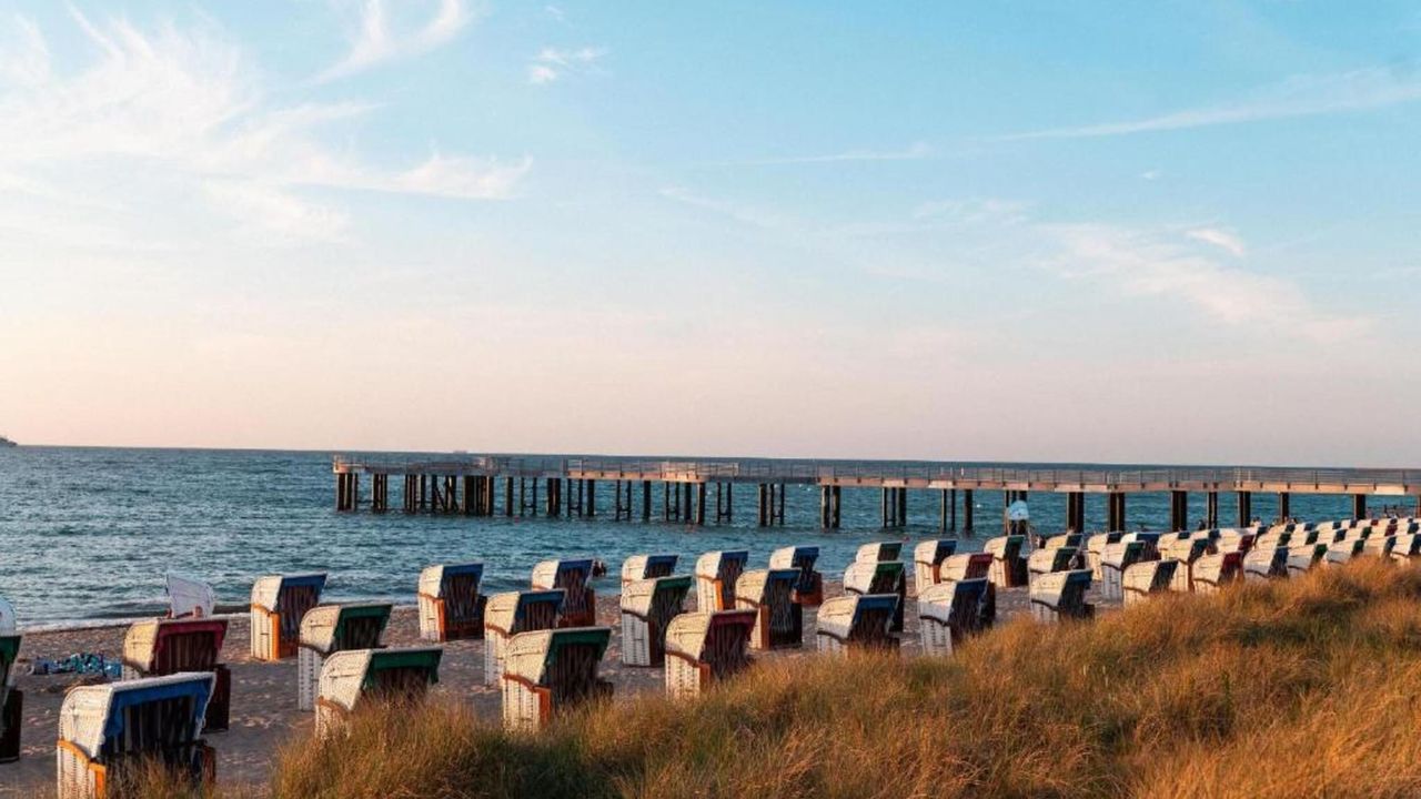 AreaSummer20KM AreaSummer20KM